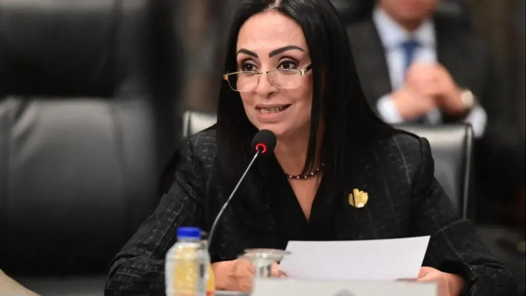 خطوة تاريخية من التضامن.. وزيرة التضامن تكشف أول منظومة شاملة لتسجيل أبناء مؤسسات الرعاية