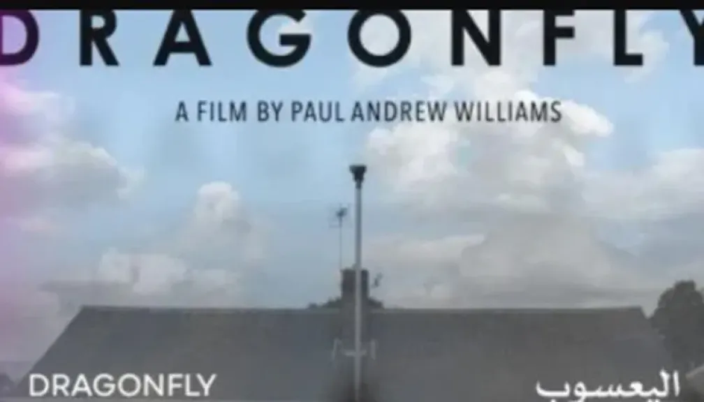 الهرم الذهبي يتوَّج ”اليعسوب”.. حصاد الدورة الـ46 لمهرجان القاهرة السينمائي بحضور لافت للنجوم