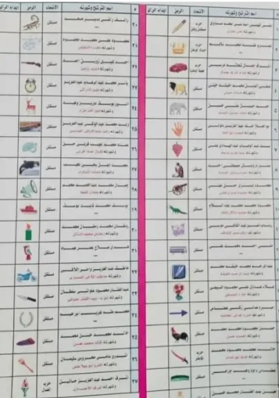 المنيا تستعد لانتخابات مجلس النواب 2025.. تجهيز 489 لجنة لاستقبال أكثر من 3 ملايين ناخب وسط إجراءات مشددة