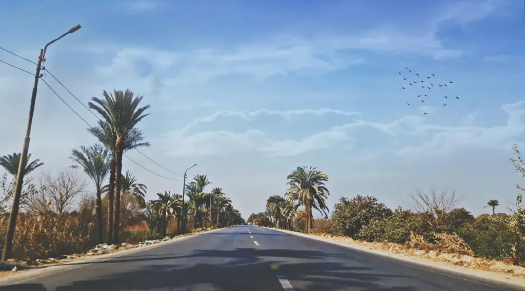 جريمة  في البدرشين.. شابان ينهيان حياة آخر بتحريض فتاة وطلق ناري على الطريق الزراعي