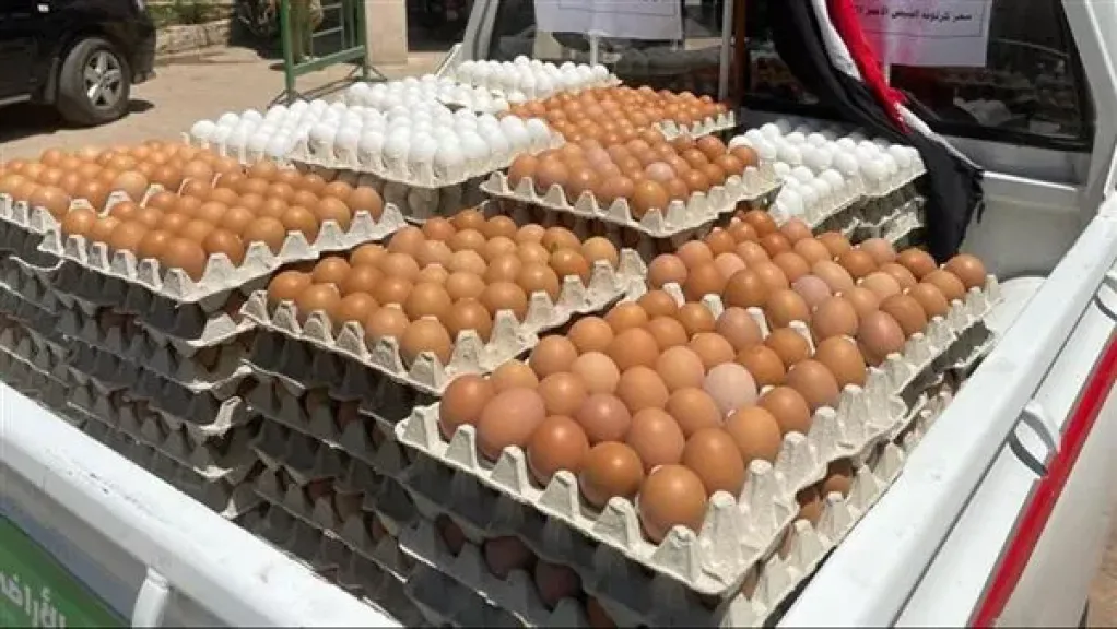 سعر كرتونة البيض بمصر اليوم الجمعة 26-12-2025.. تراجع طفيف في أسعار الجملة