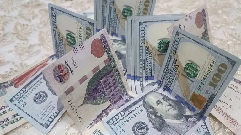 استقرار سعر الدولار في مصر - أرشيفية