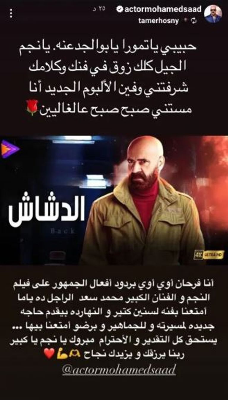 الملصق الدعائي لفيلم "الدشاش"