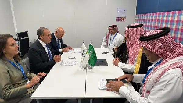 وزير الخارجية يبحث مع الرئيس التنفيذي للصندوق السعودي للتنمية تعزيز التعاون الاقتصادي ودعم المشروعات في مصر