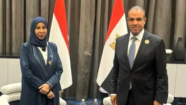 وزير الخارجية يؤكد دعم مصر لوحدة اليمن ورفض الاعتداءات على السعودية