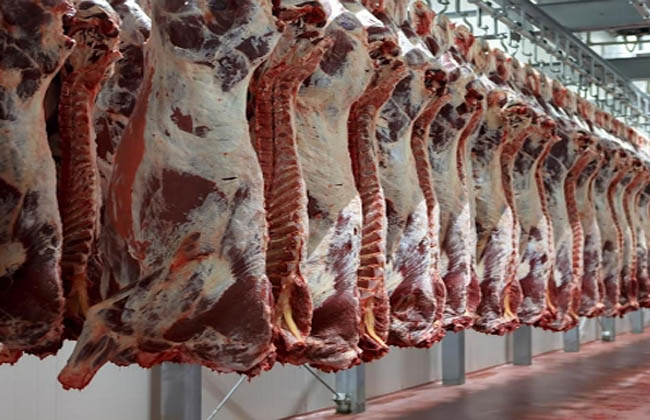 استقرار نسبي في أسعار اللحوم مع اقتراب عيد الأضحى وزيادة الإقبال على الشراء