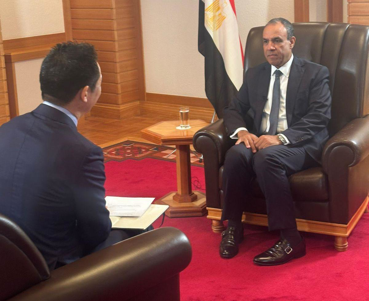 وزير الخارجية يستعرض تطور العلاقات المصرية اليابانية وجهود جذب الاستثمارات