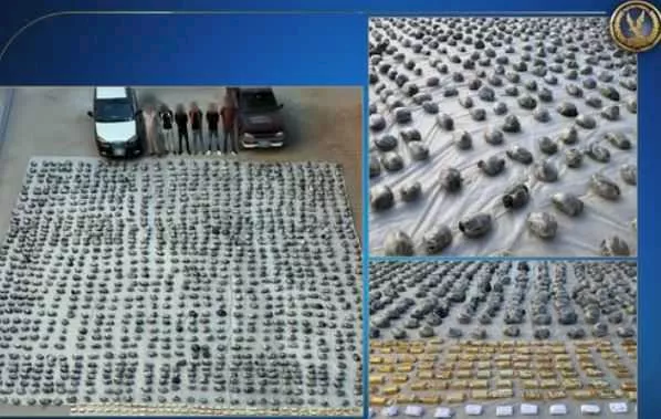 ضبط 6 عناصر خطرة وبحوزتهم 2 طن هيدرو و261 كجم حشيش بالسويس | مصراوى