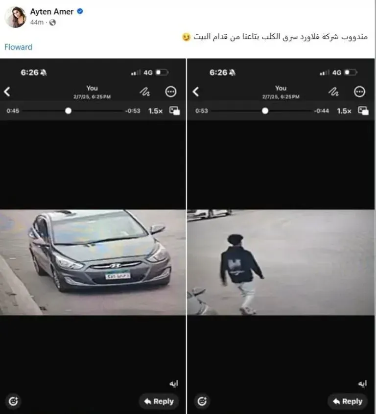 أيتن عامر