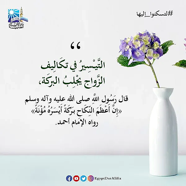 نتائج مكثفة لحملات الأمن العام في مصر: ضبط أسلحة ومخدرات وتنفيذ أحكام قضائية