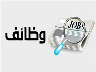 وزارة العمل تعلن عن 450 فرصة عمل بقطاع الأمن والحراسة برواتب تصل إلى 9500 جنيه