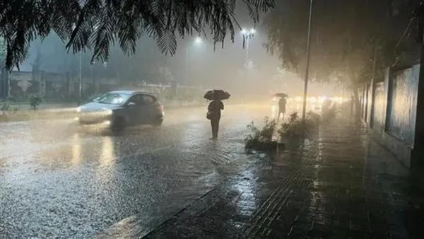 عاجل | «الأرصاد تحذر»: طقس شديد البرودة وصقيع وشبورة كثيفة في مصر غدًا الأحد 11 يناير 2026