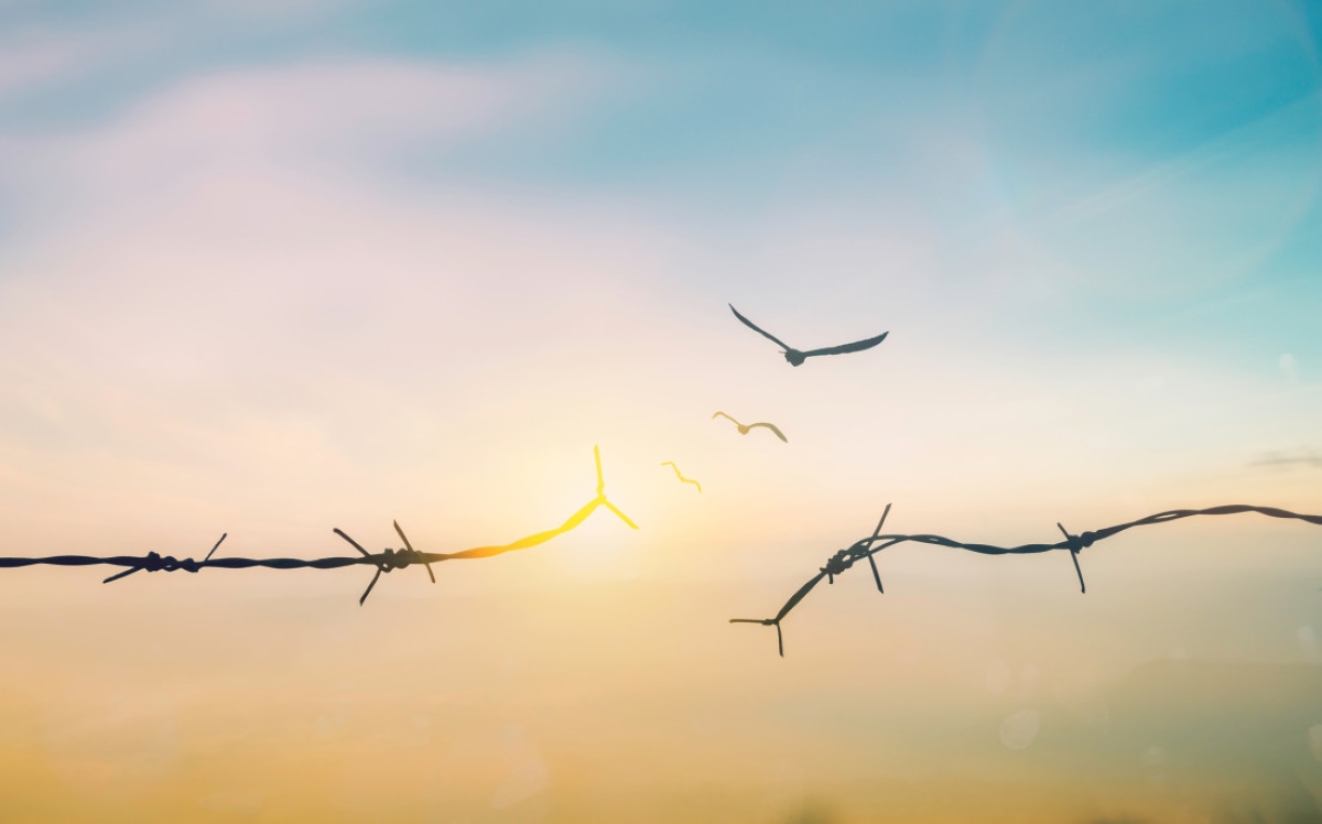 أميركا تطرح مشروع «شروق الشمس» لتحويل غزة إلى مدينة تكنولوجية متطورة - جريدة الجريدة الكويتية