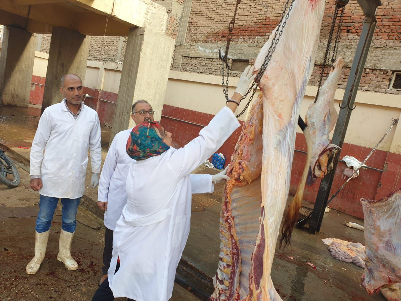 لا يتوفر وصف.