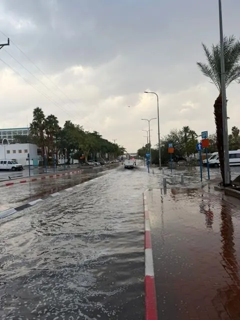 لا يتوفر وصف.