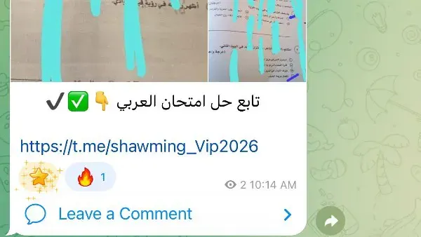 شاومينج يزعم نشر إجابات امتحان العربي للثانوية العامة 2026.. والتعليم تتحرك