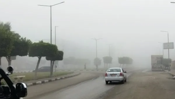 حالة الطقس غداً السبت 31 يناير 2026 في مصر: تحذير عاجل من "رياح متربة" وشبورة كثيفة