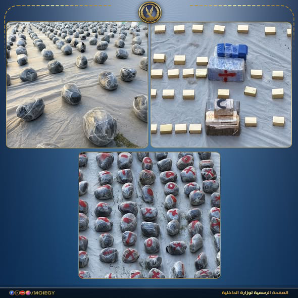 ضبط تشكيل عصابي بحوزته 2 طن مواد مخدرة في السويس