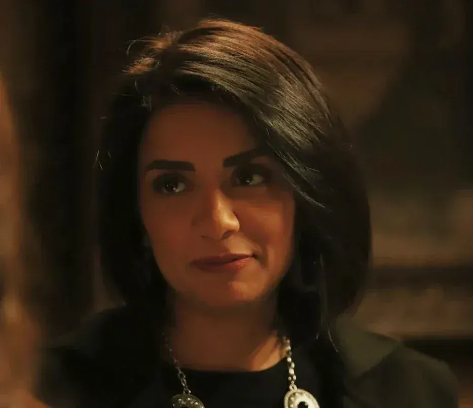 قنوات وموعد عرض مسلسل إعلام وراثة.. عمل درامي يفتح ملف الميراث والصراعات العائلية