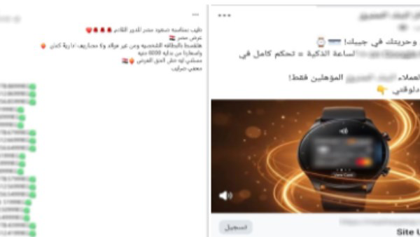 الداخلية تضبط تشكيلات عصابية متخصصة في النصب الإلكتروني على المواطنين والاستيلاء على حساباتهم البنكية