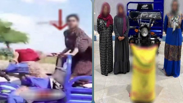 كشف ملابسات فيديو مطاردة 3 سيدات بعد سرقة أجولة أرز من مزرعة بالشرقية