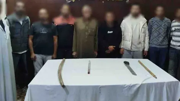 بسبب بيع شقة.. ضبط 10 أشخاص في مشاجرة عنيفة بمنطقة المرج