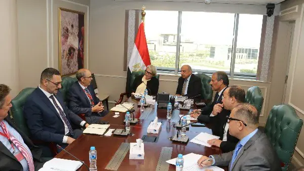 الكهرباء تبحث مع فنلندا تطوير الشبكة القومية ودعم مشروعات الطاقة المتجددة