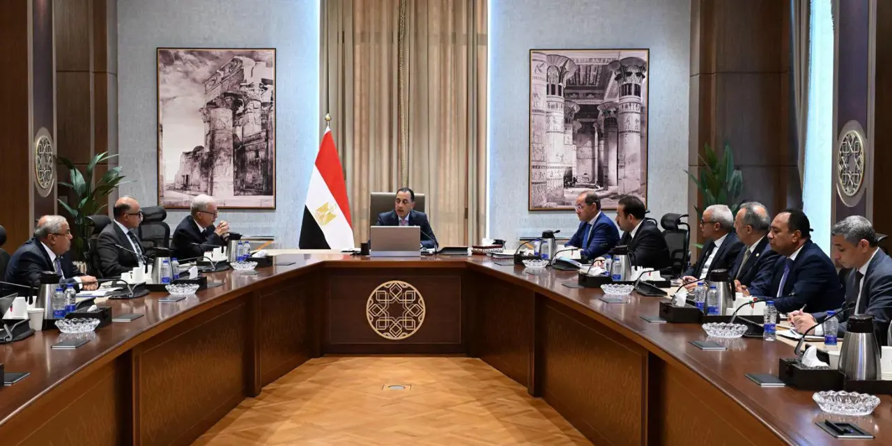 مدبولي يتابع برنامج إعادة هيكلة الشركات القابضة وتعظيم العائد من أصول الدولة