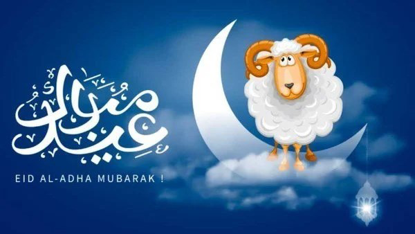 موعد عيد الأضحى 2026 وعدد أيام الإجازة الرسمية.. كل ما تريد معرفته عن الوقفة والأضحية
