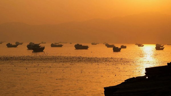 عودة الملاحة في مضيق هرمز تنعش أسواق الشحن البحري وترفع أجور ناقلات النفط لمستويات قياسية