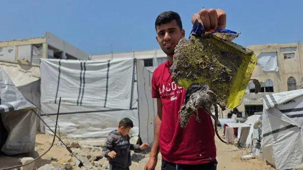 غزة في دائرة الخطر.. مخاوف من تفشي الفيروس وسط انتشار الفئران
