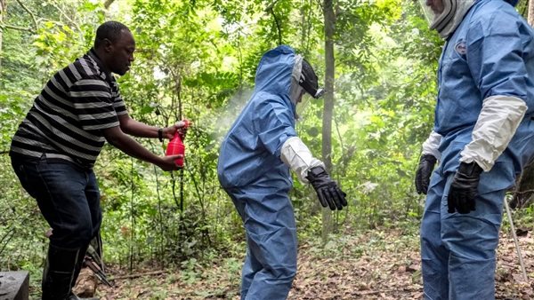 بعد ظهوره في إثيوبيا».. ما هو فيروس ماربورغ الذي حذرت منه منظمة الصحة  العالمية؟