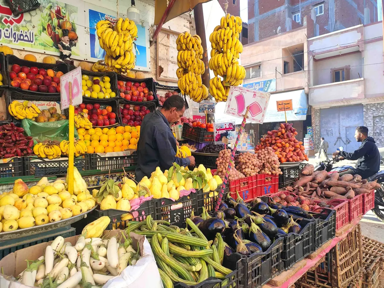 المانجو العويس وصلت لكام؟.. أسعار الخضروات والفاكهة اليوم في سوق العبور