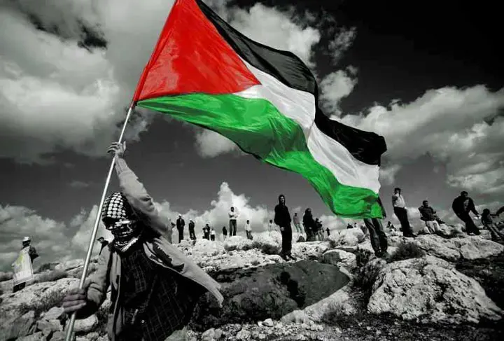 القضية الفلسطينية في صدارة الأولويات.. السيسي يشدد على أهمية الحل العادل