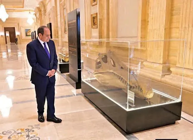 ديناصور مصري عمره 100 مليون سنة.. جمجمة أمام السيسي تكشف تفاصيل اكتشاف نادر