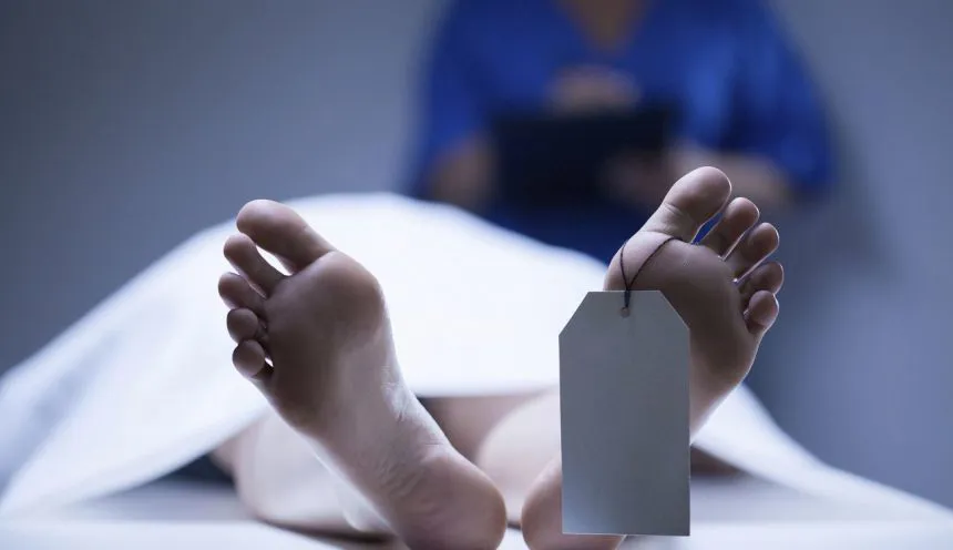 من «الفسيخ الفاسد» إلى اكتشاف الجثمان.. تفاصيل جديدة في قضية محامية الإسكندرية