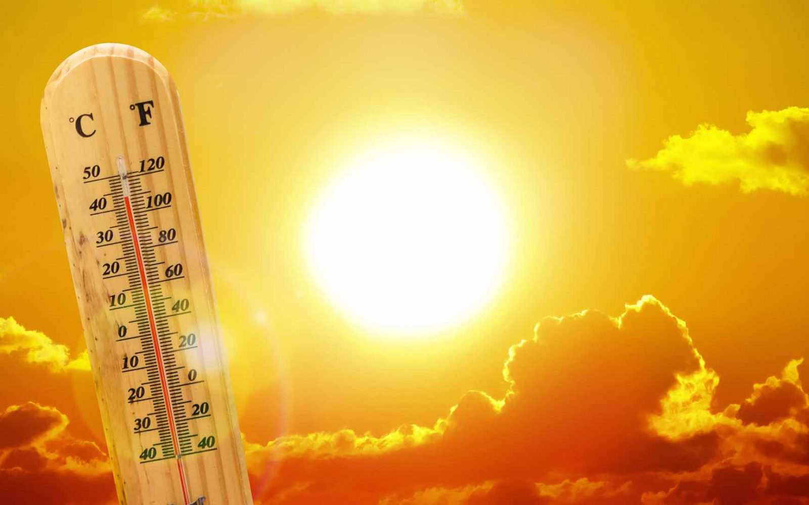 حالة الطقس اليوم الأحد 14 يونيو 2026.. أجواء حارة نهارًا ورياح نشطة تخفف الإحساس بالحرارة