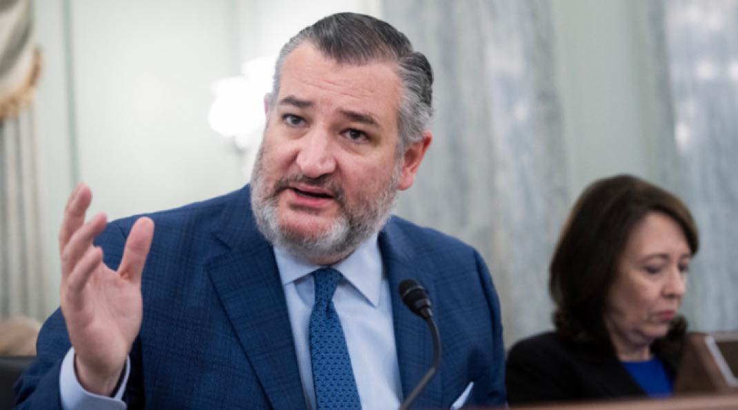 تيد كروز يدفع ترامب للاعتراف بصوماليلاند لمواجهة الصين